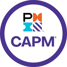 PMI CAPM Proxy Exam